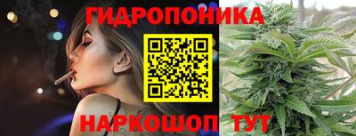 шишки Кулебаки