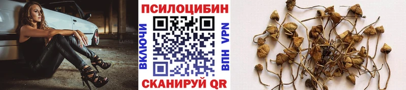 Псилоцибиновые грибы ЛСД  закладка  Камышин 