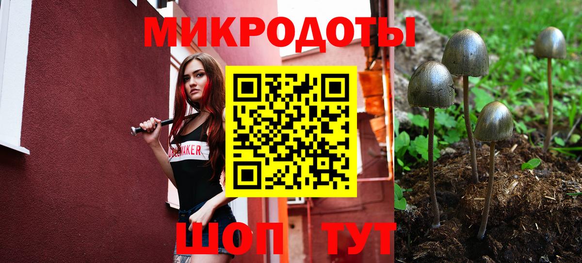 Гашиш Камышин