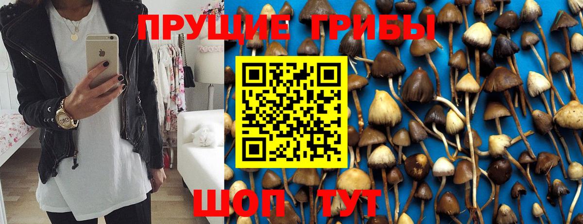 Галлюциногенные грибы Psilocybine cubensis  Галлюциногенные грибы MAGIC MUSHROOMS  Вход с VPN  Камышин 