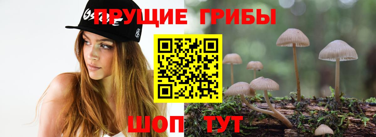 Псилоцибиновые грибы MAGIC MUSHROOMS Камышин